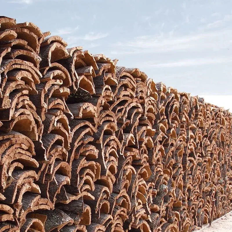 6mm Thickness Eco Friendly Cork Yoga Mat for Beginner Gym Cushion Fitness Rugs Customized